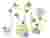 Conceptual Diagram