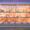 WİLD NEST