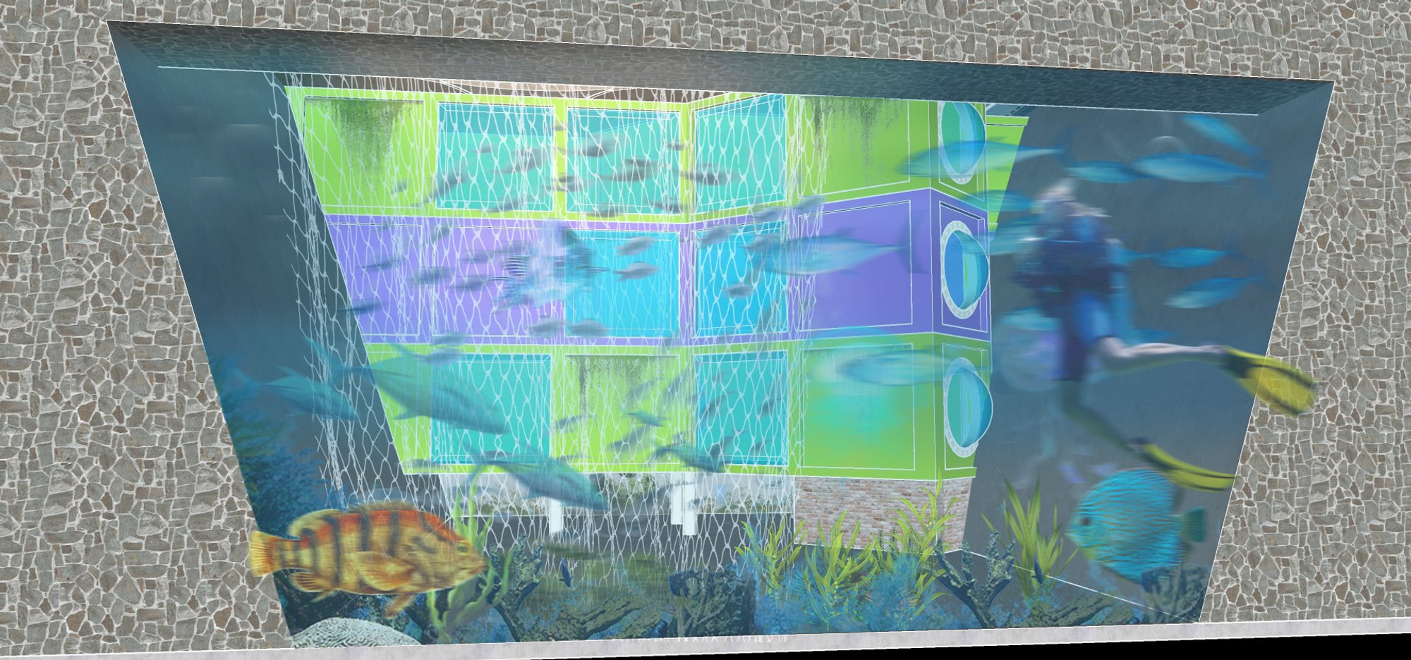 Image 8