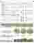 Design Framework and Masterplan