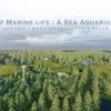 THE TALE OF MARINE LIFE : A SEA AQUARIUM COMPLEX