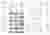 Building timeline, photographs, and measured drawings