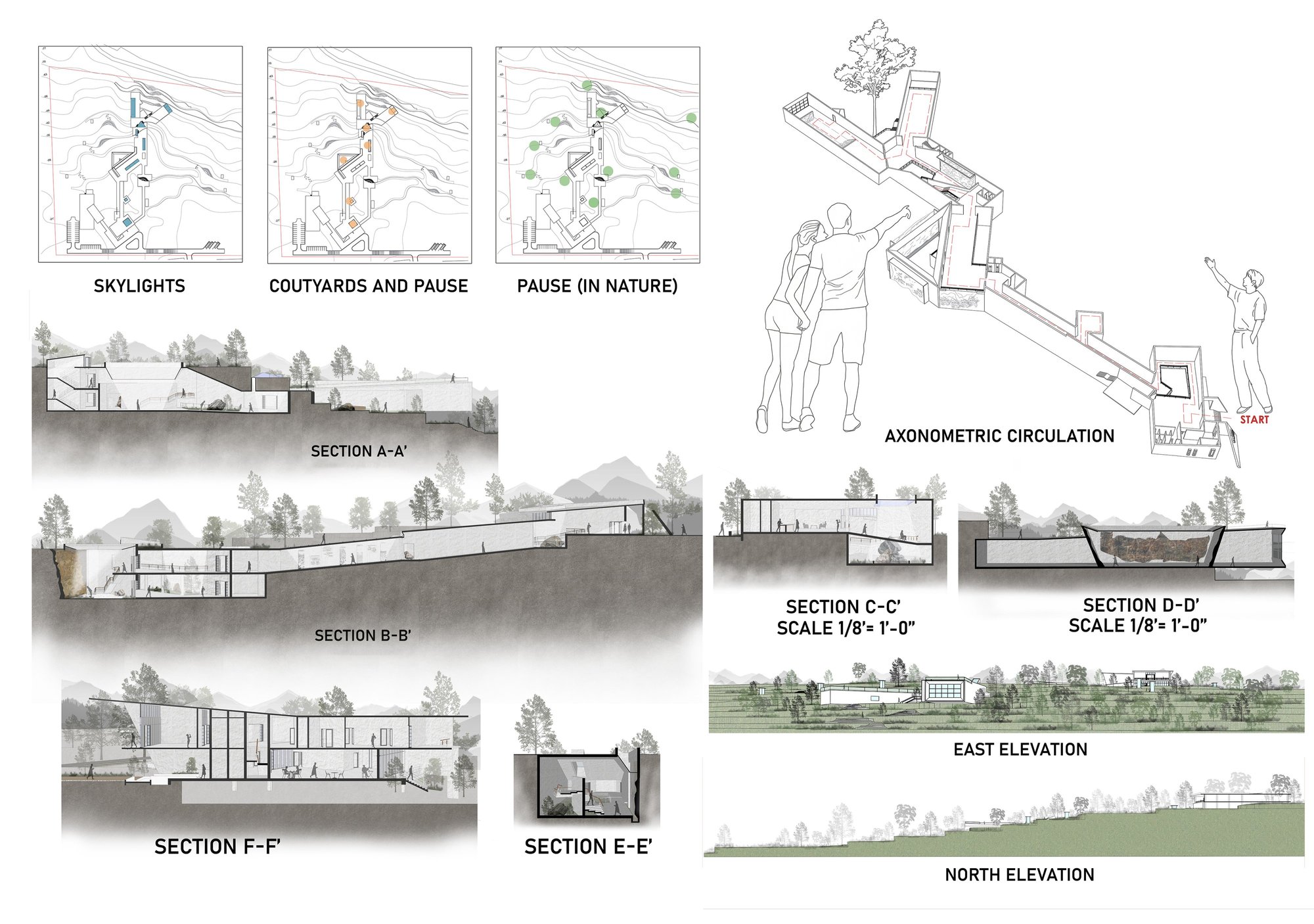 Sections and Design Features