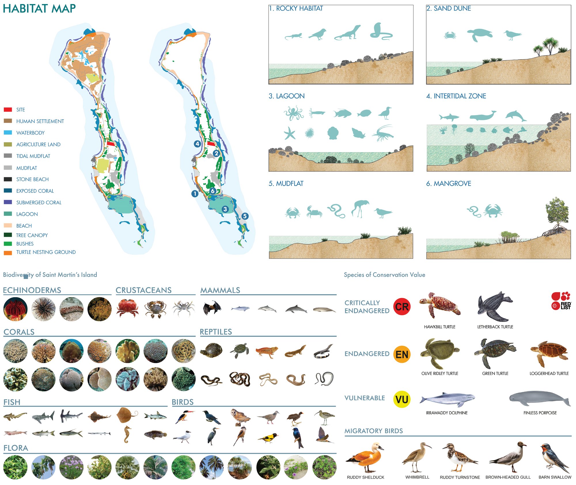 Ecological Context