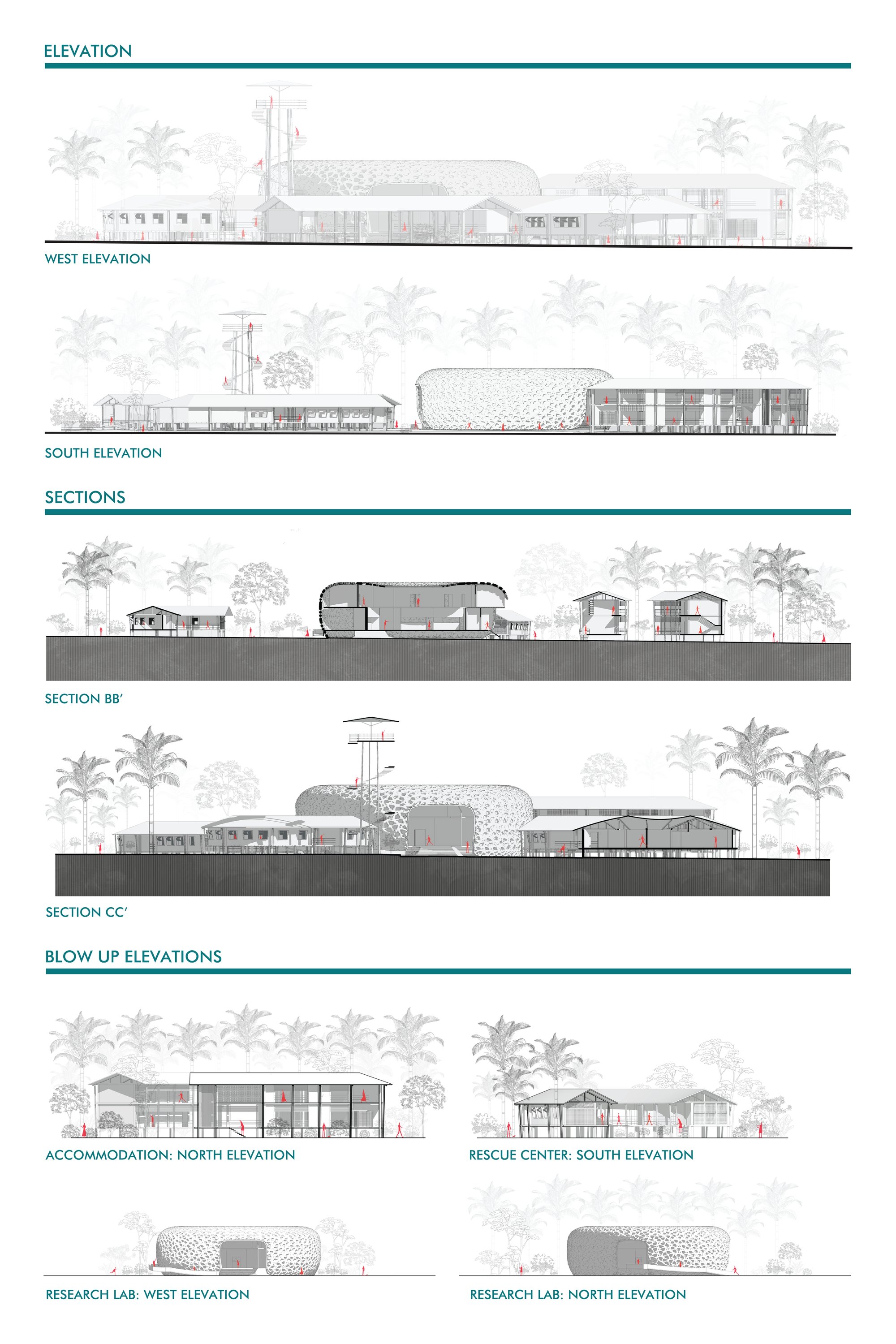 Elevations & Sections