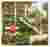 Image 23