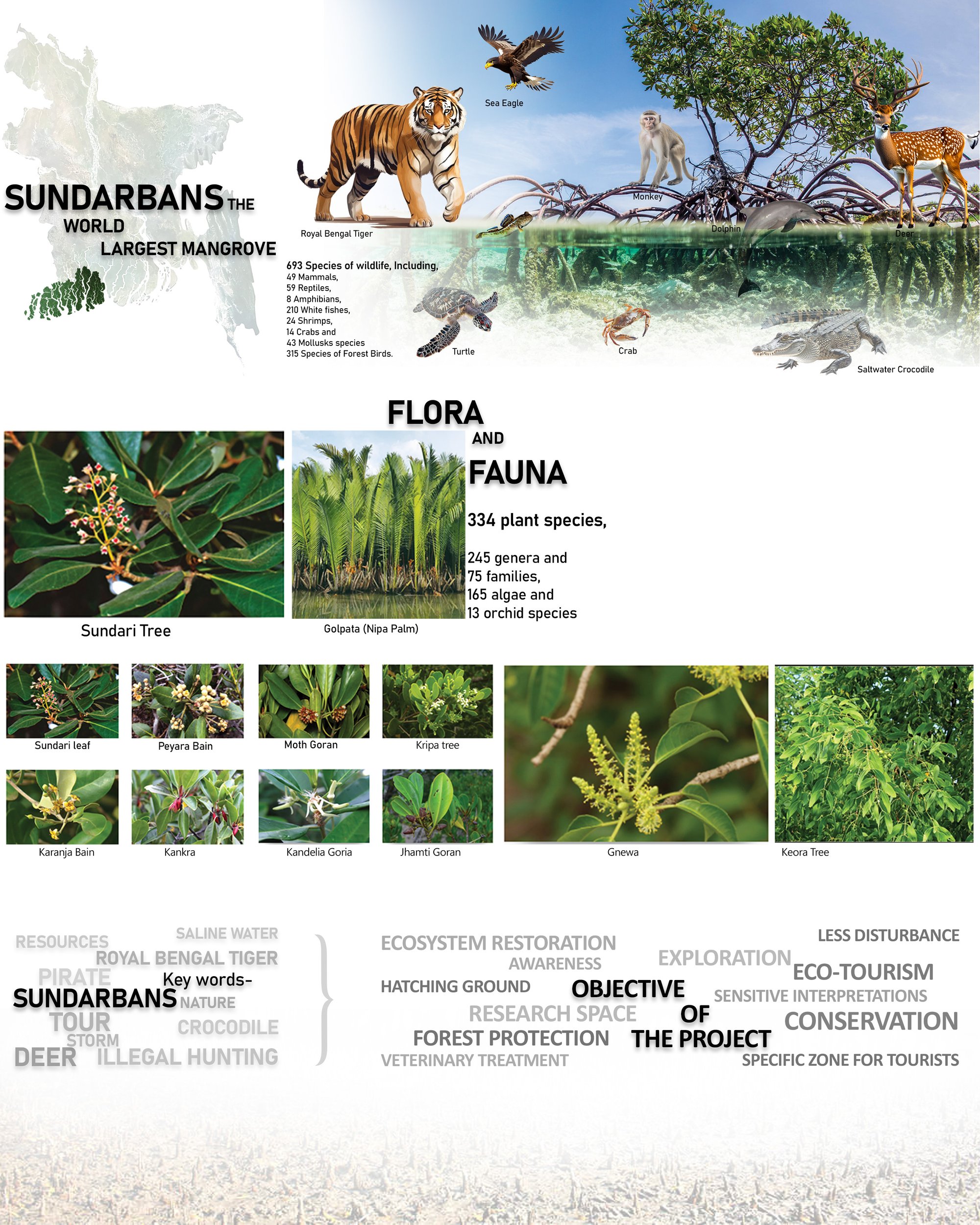 Project & Objectives