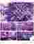 visualization of factory[n]certainty in metaverse