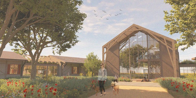THE POPPY FIELDS. Architecture of care