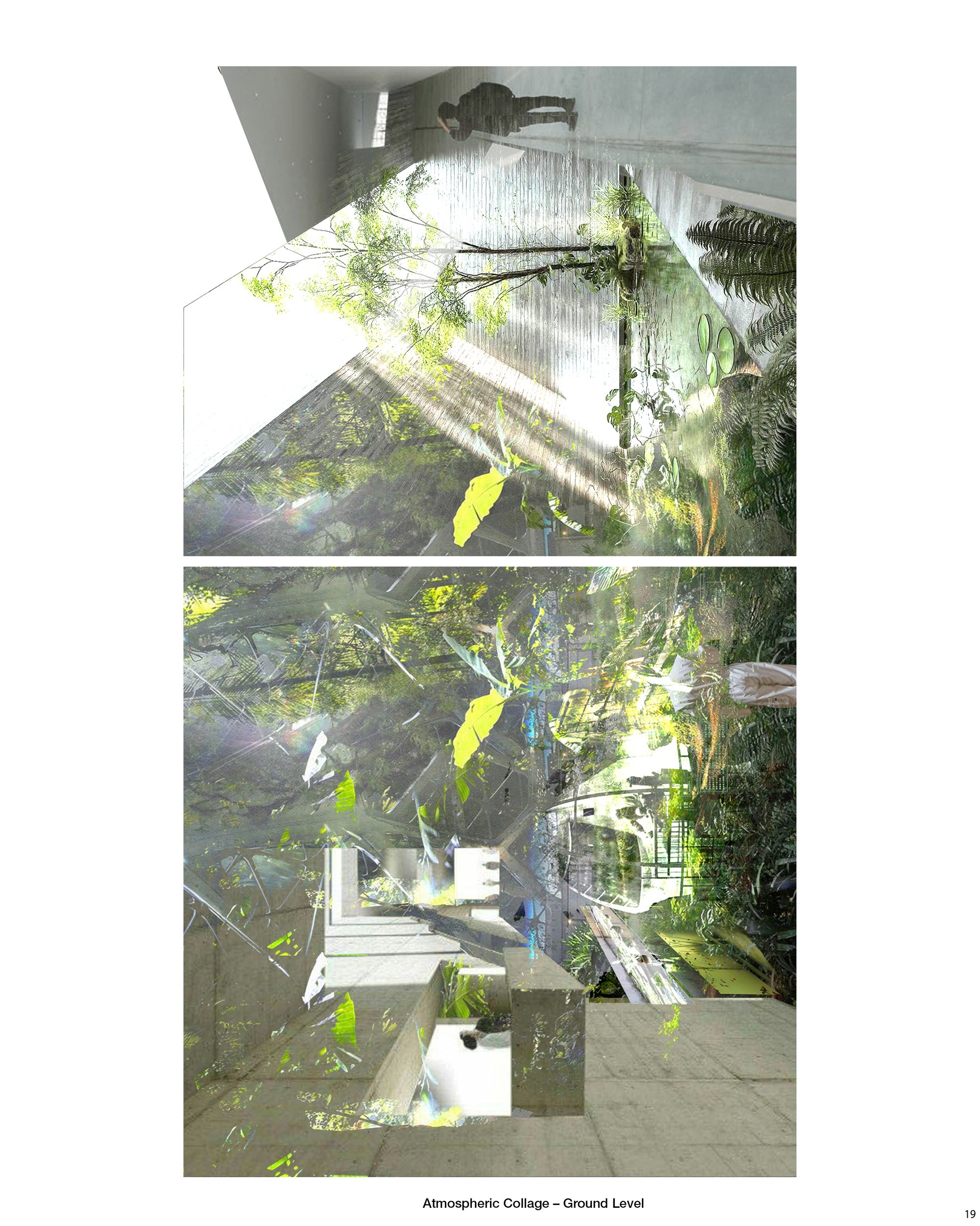 Image 20
