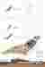 Alluvium_Board 2