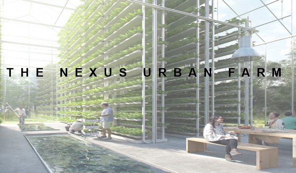 THE NEXUS URBAN FARM
