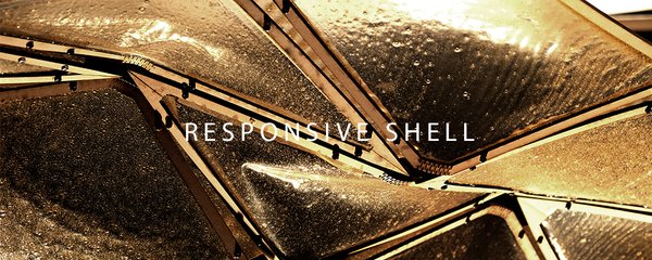 RESPONSIVE SHELL