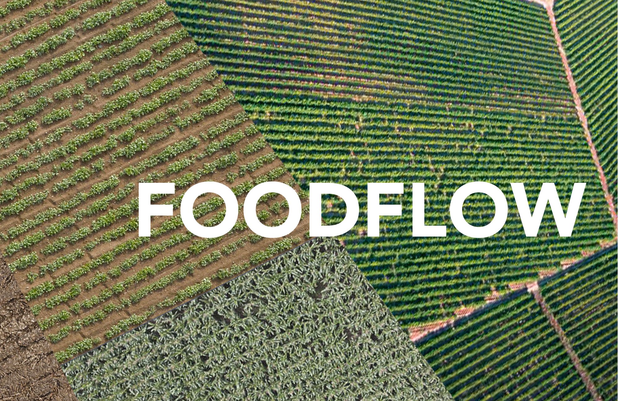 FOODFLOW