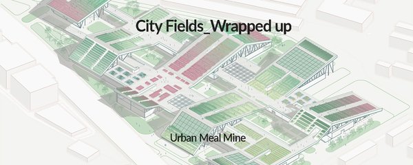 City Fields_Wrapped Up