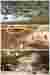 Renders