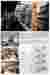 Facade and Fenestration