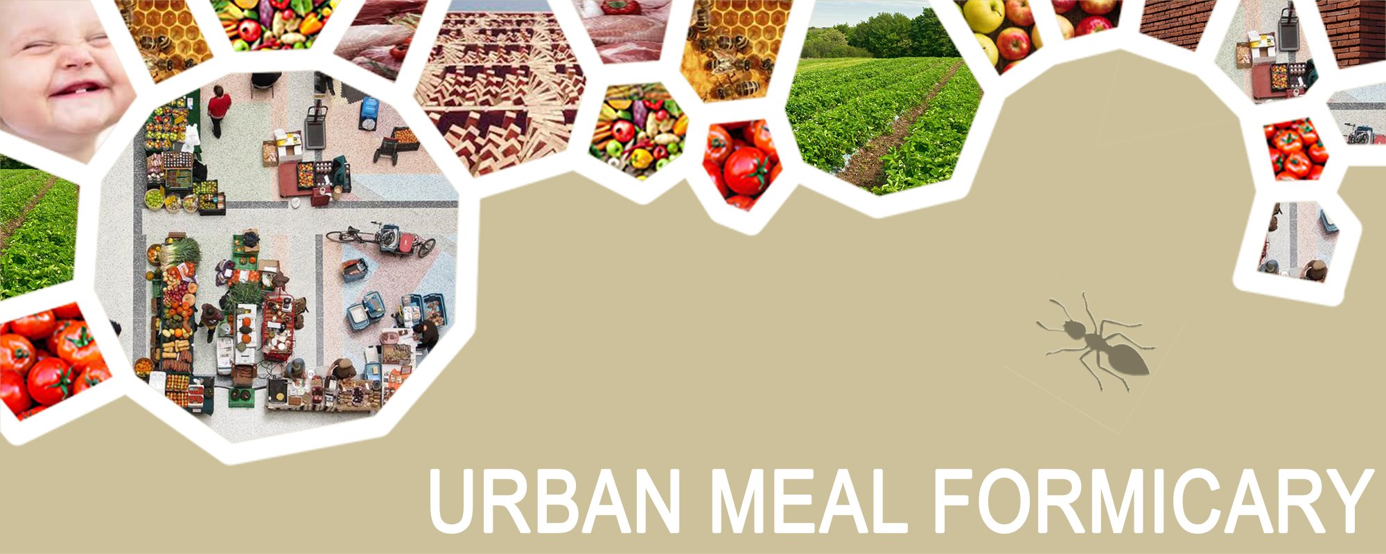 URBAN MEAL FORMICARY