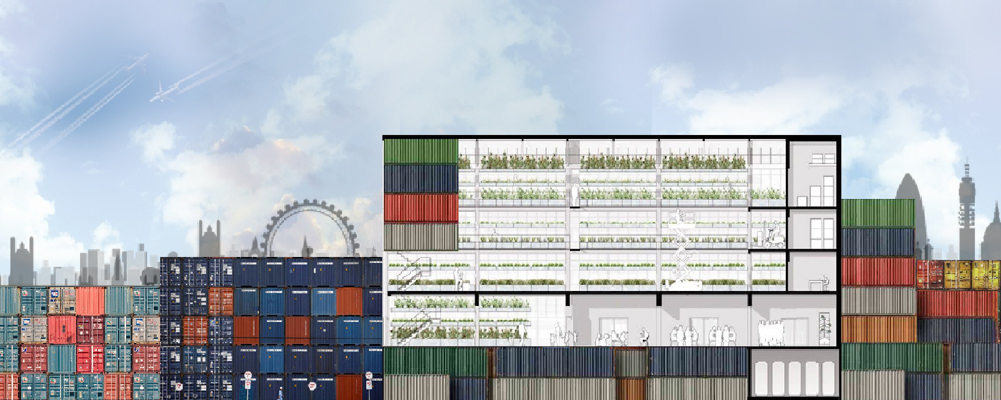 ARCHITECTURE GROWTH