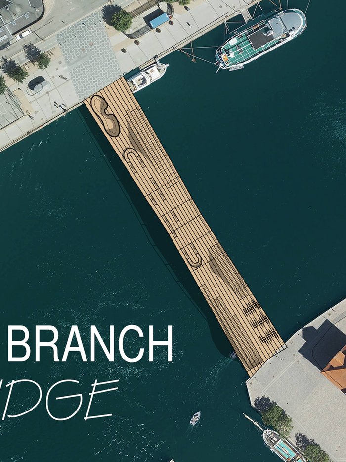 THE BRANCH BRIDGE