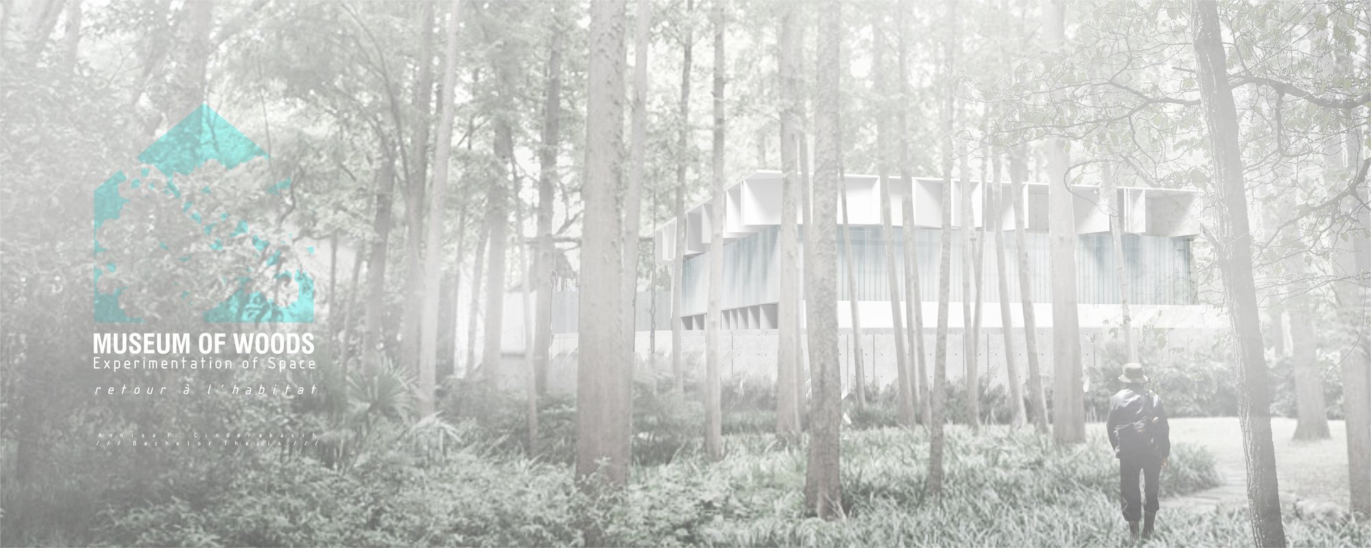 MUSEUM OF WOODS
Experimentation of Space
Retour a l'habitat