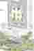 1st FLOOR PLAN and Mass Process