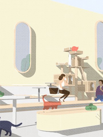 Journal of embracing solo