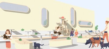 Journal of embracing solo