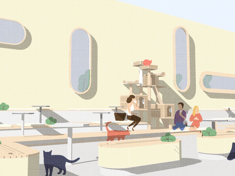 Journal of embracing solo