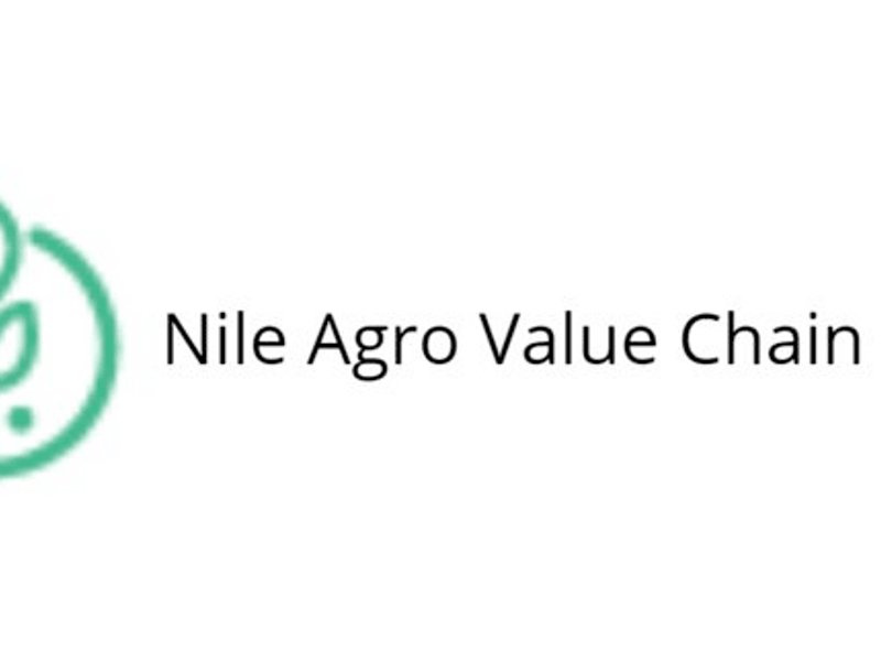 NILE AGRO VALUE CHAIN