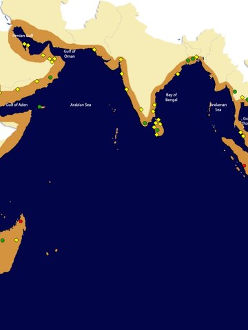 Thesis Architecture portfolio