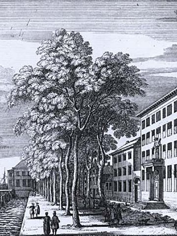 Very Tall Wooden Buildings with Cross Laminated  Timber