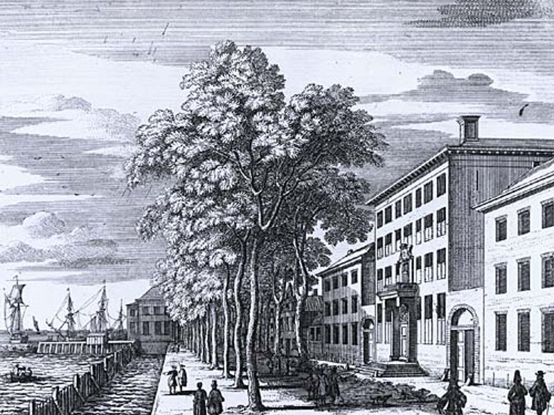 Very Tall Wooden Buildings with Cross Laminated  Timber