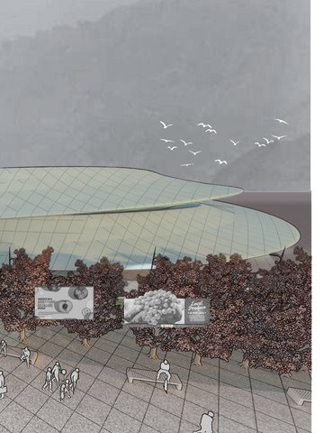 The Omnichannel Market