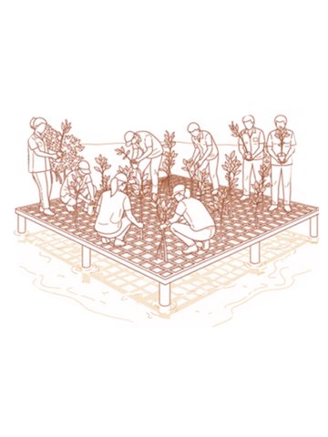 NODO - Living with Mangroves