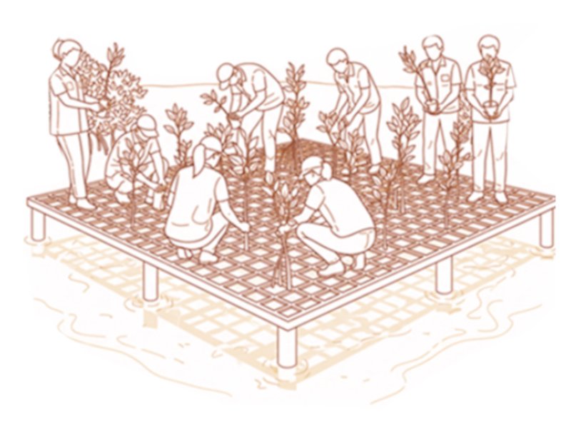 NODO - Living with Mangroves