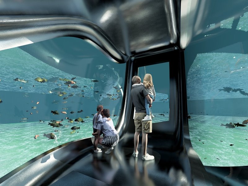 Coral Commune Renders and Development