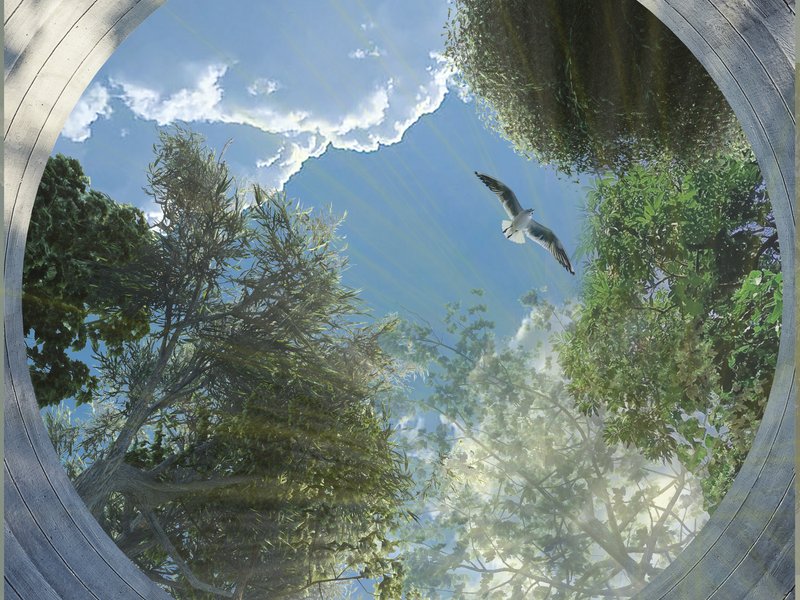 CENTER FOR THEOLOGY: A PLACE FOR TRANSCENDENT PEACE