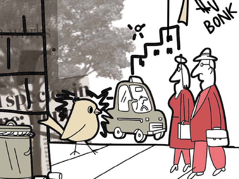 Fostering Human-Bird Connection:Exploring Architecture as a Catalyst for Bird Conservation