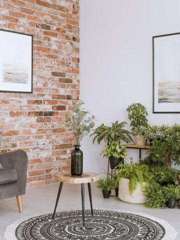 Interior Designing Ideas That Are High Impactful But Low-Cost With STYLARC