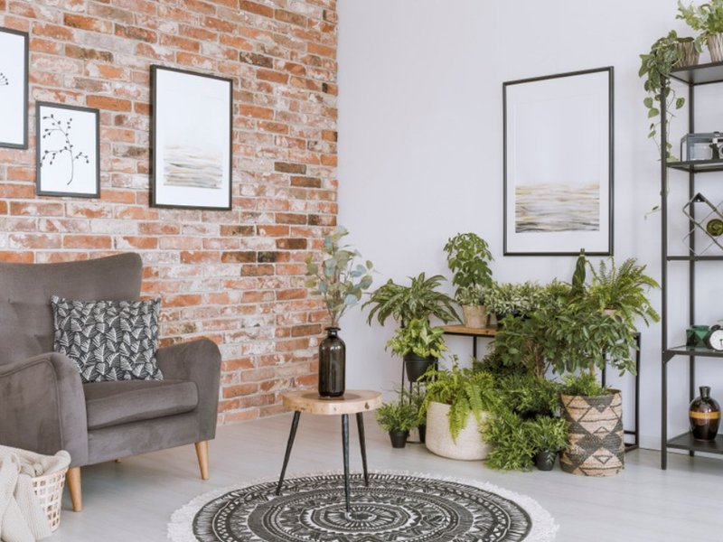 Interior Designing Ideas That Are High Impactful But Low-Cost With STYLARC