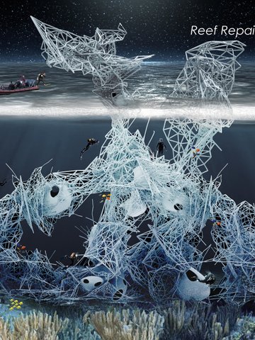 Coral Spine: Reef Repair and Sanctuary