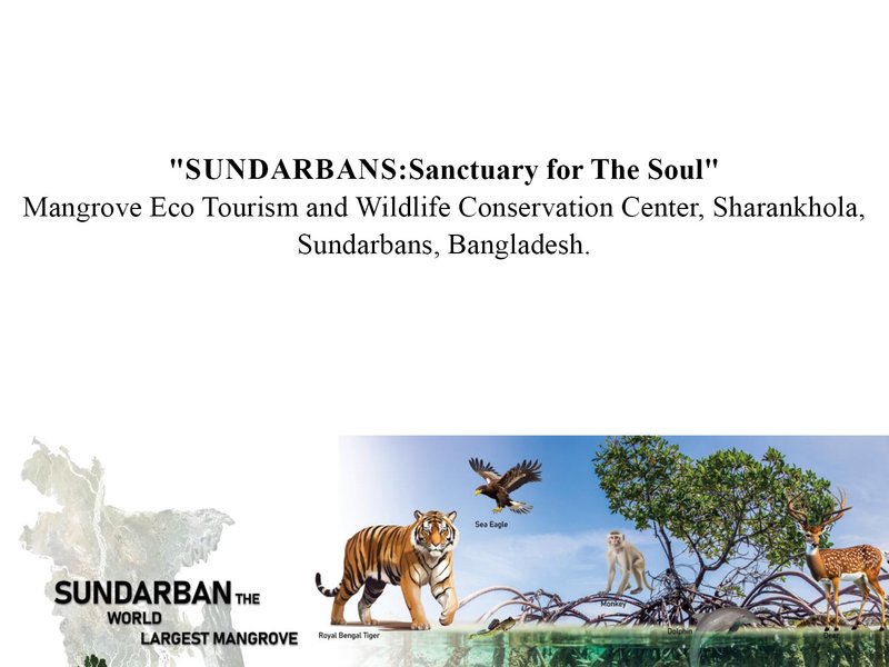 "SUNDARBANS:Sanctuary for The Soul" Mangrove Eco Tourism and Wildlife Conservation Center,Sharankhola, Sundarbans, Bangladesh.