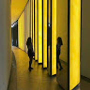 Ольга Верещагина