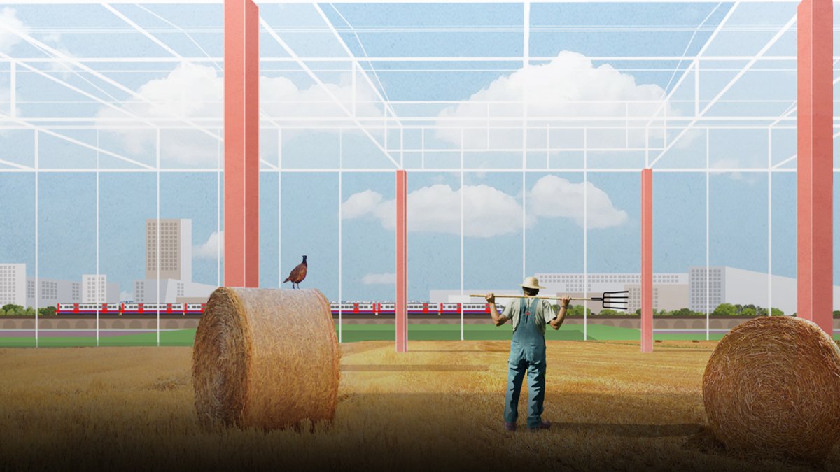 40,000+ constructive feedback shared by industry experts