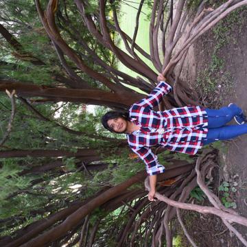 arfa morshed