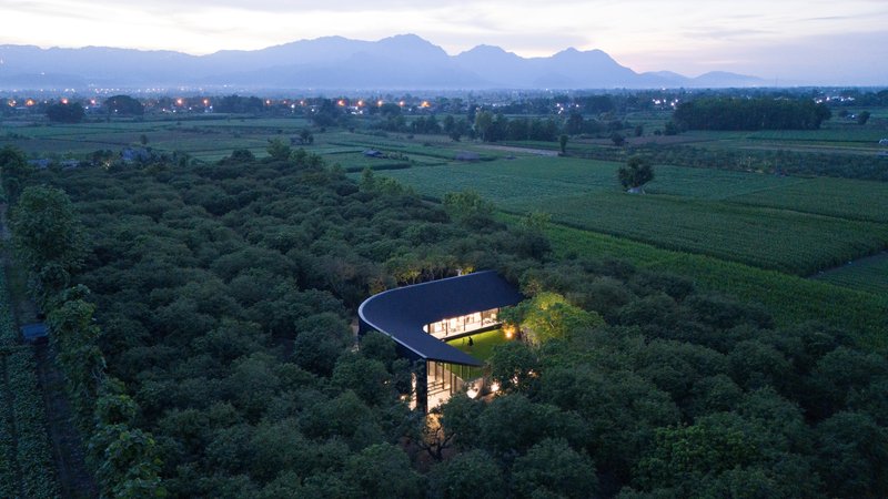 Cafe MADA: A Chiang Rai Pavilion in a Mango Orchard