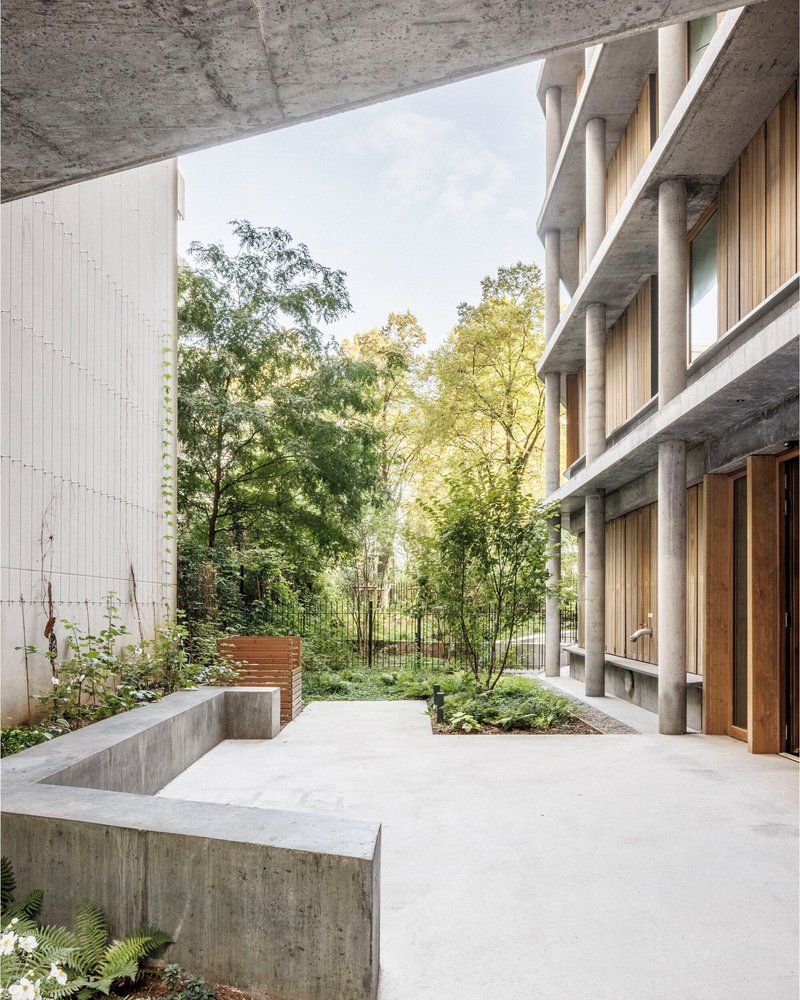 Concrete and timber loggia at ground level looking out into a wild planted edge