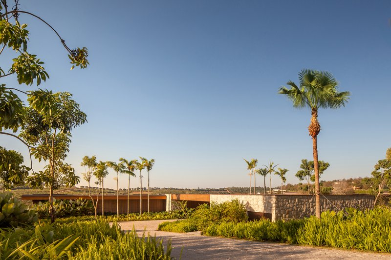 Garden path leading toward the house with a mature palm and dense planting in the foreground