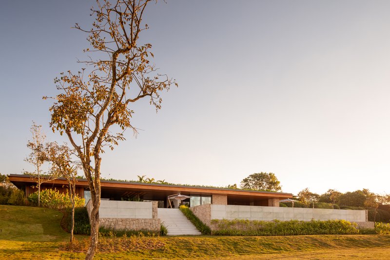 The long horizontal volume seen from the garden with a tree at sunset and the stone retaining wall below